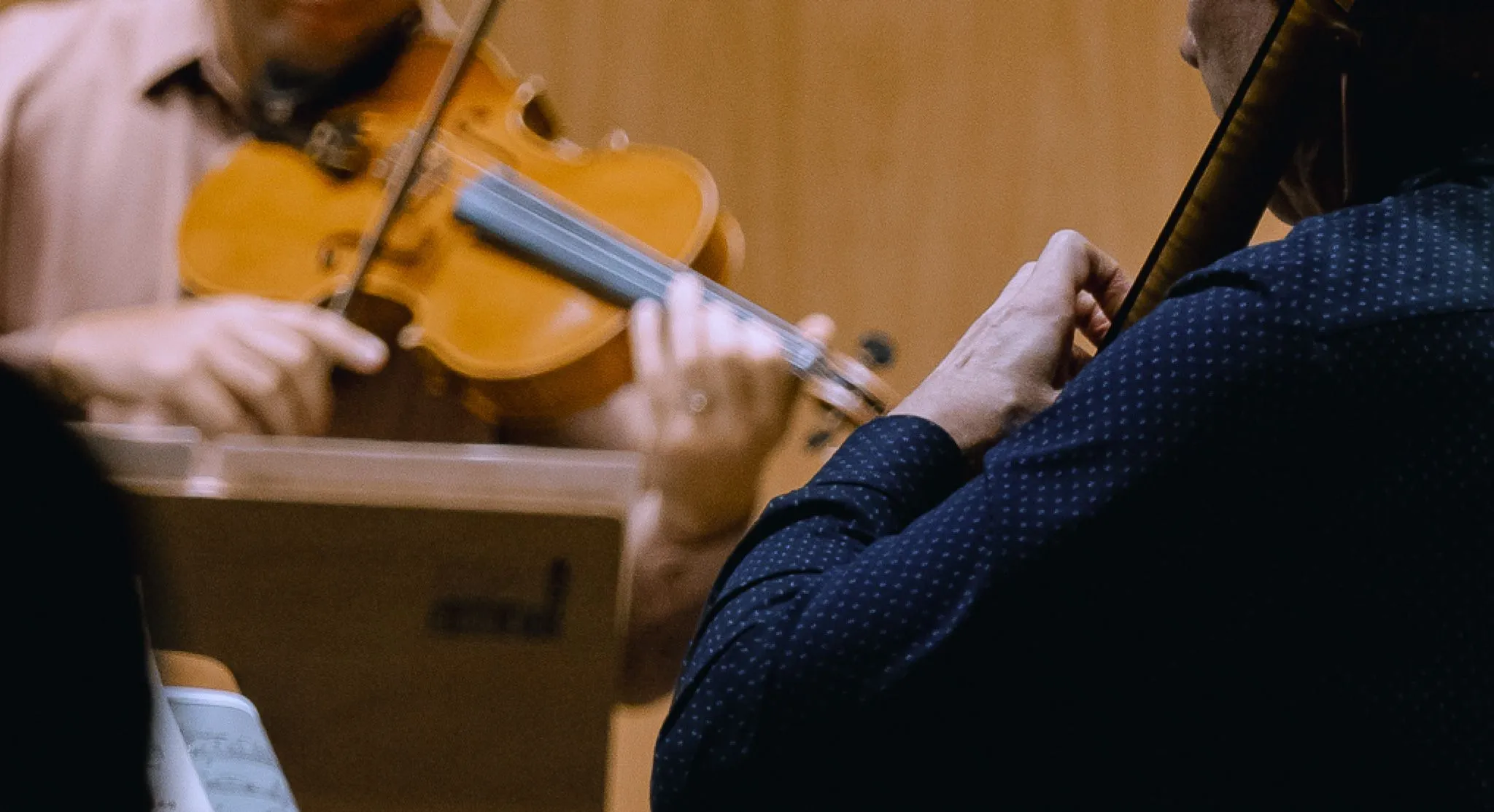 A imagem mostra um homem tocando viola e um tocando violoncelo.
