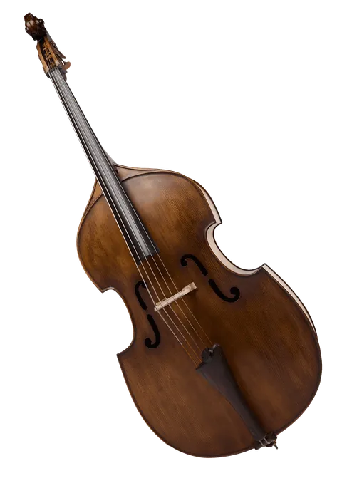 The image shows a dark wooden double bass.
