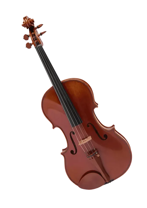 The image shows a viola, an instrument made of wood, with four strings, slightly larger than the violin.
