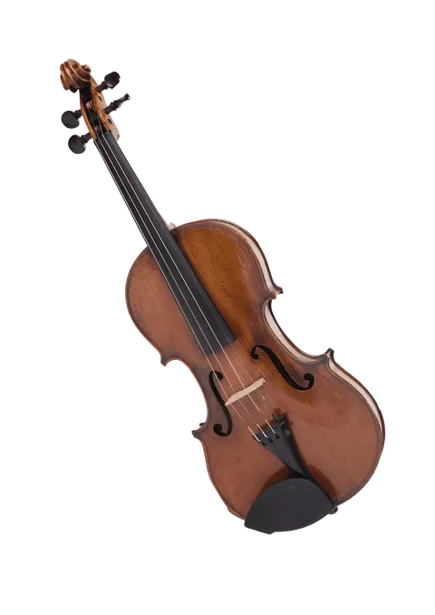The image shows a violin, an instrument made of wood, with four strings.