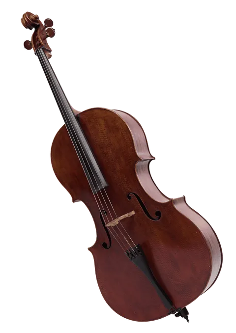 The image shows a dark wooden cello.